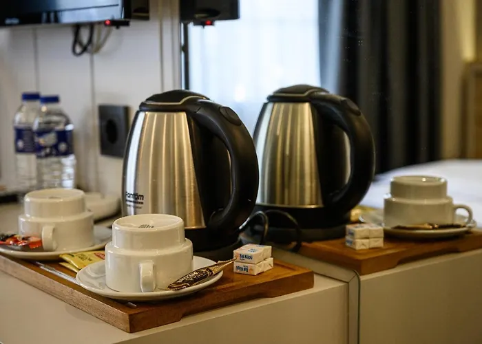 מלון Ds Regulus *