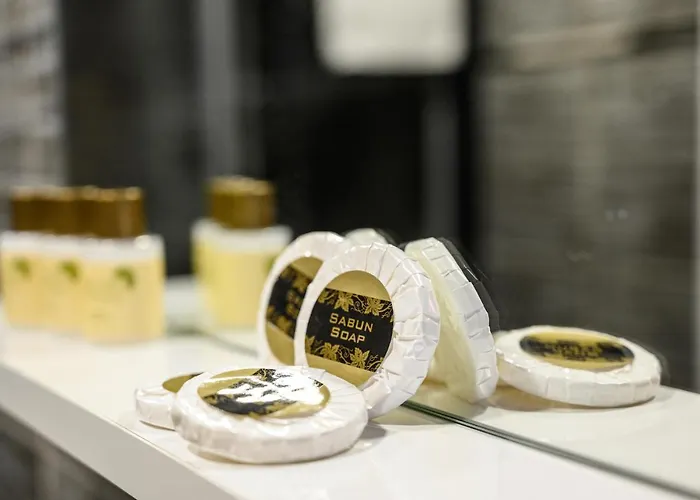 Ds Regulus * 安卡拉